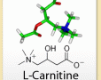 L Carnitine and Weight loss