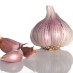 garlic